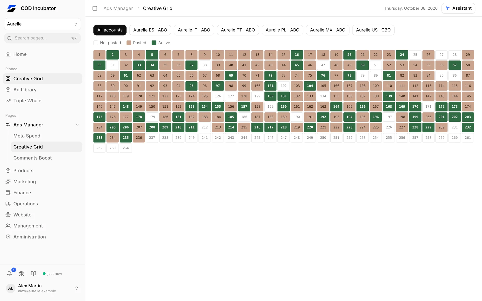 Roapix creative grid showing posted and active creatives per account