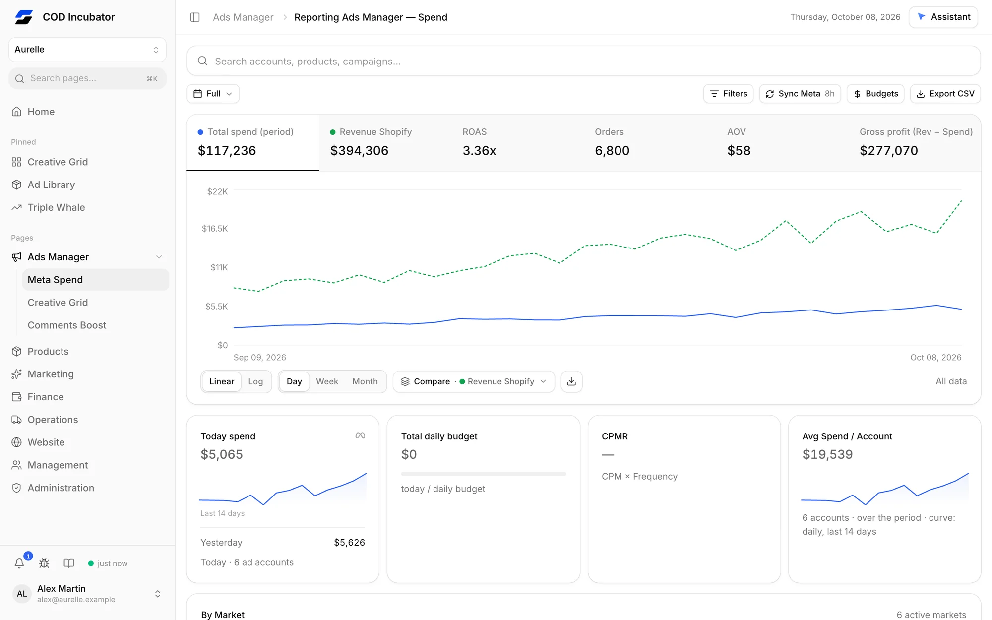 Roapix Meta spend report with revenue comparison